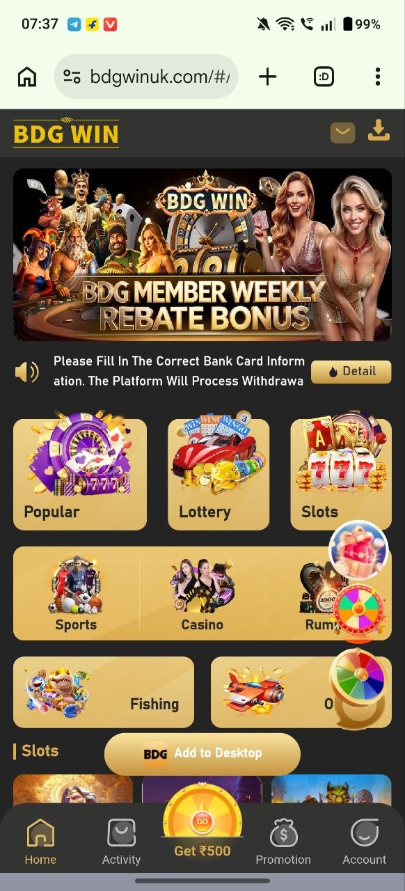 BDG Win Dashboard